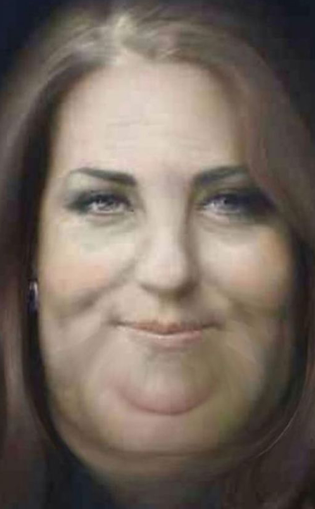Photos From Kate Middleton Portrait Best Of The Meme Pics E Online